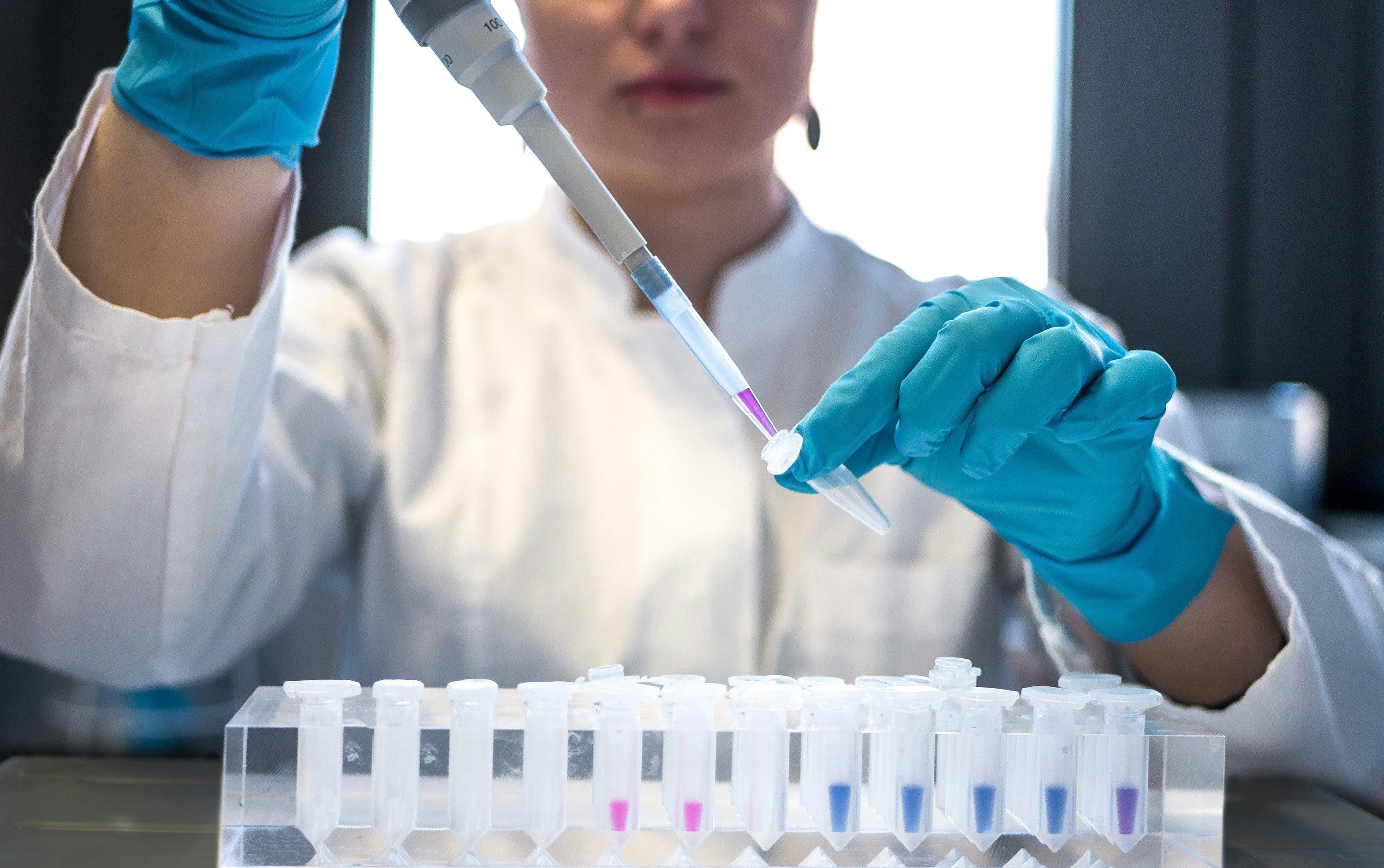 NIPT Test by Early Reveal - Leading Noninvasive Prenatal Testing for ...